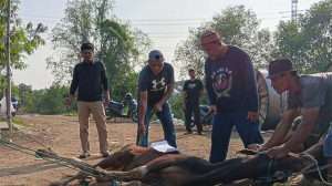 Beranda qurban
